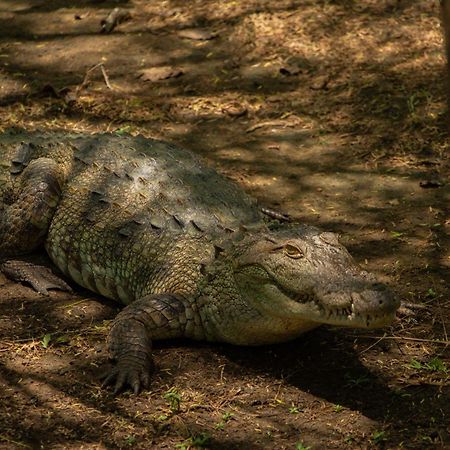 Suduweli Beauties Of Nature - Yala Kirinda  Exteriér fotografie