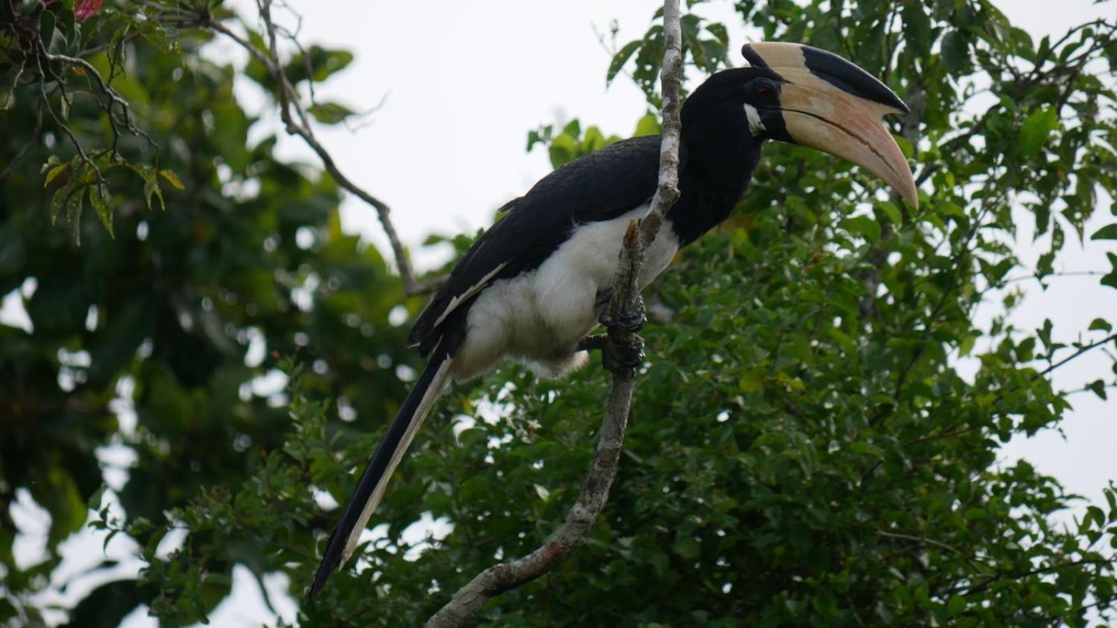 Suduweli Beauties Of Nature - Yala Kirinda  Exteriér fotografie