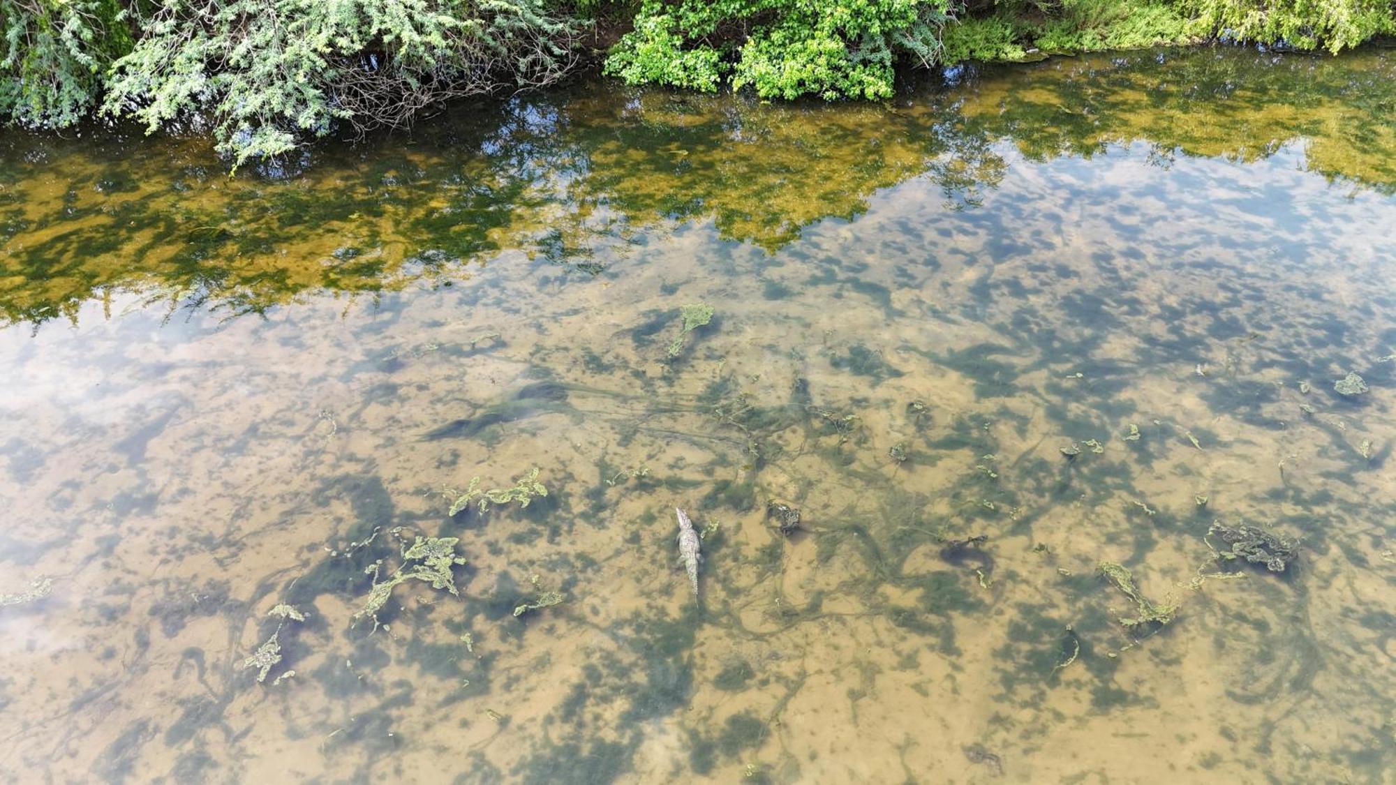 Suduweli Beauties Of Nature - Yala Kirinda  Exteriér fotografie