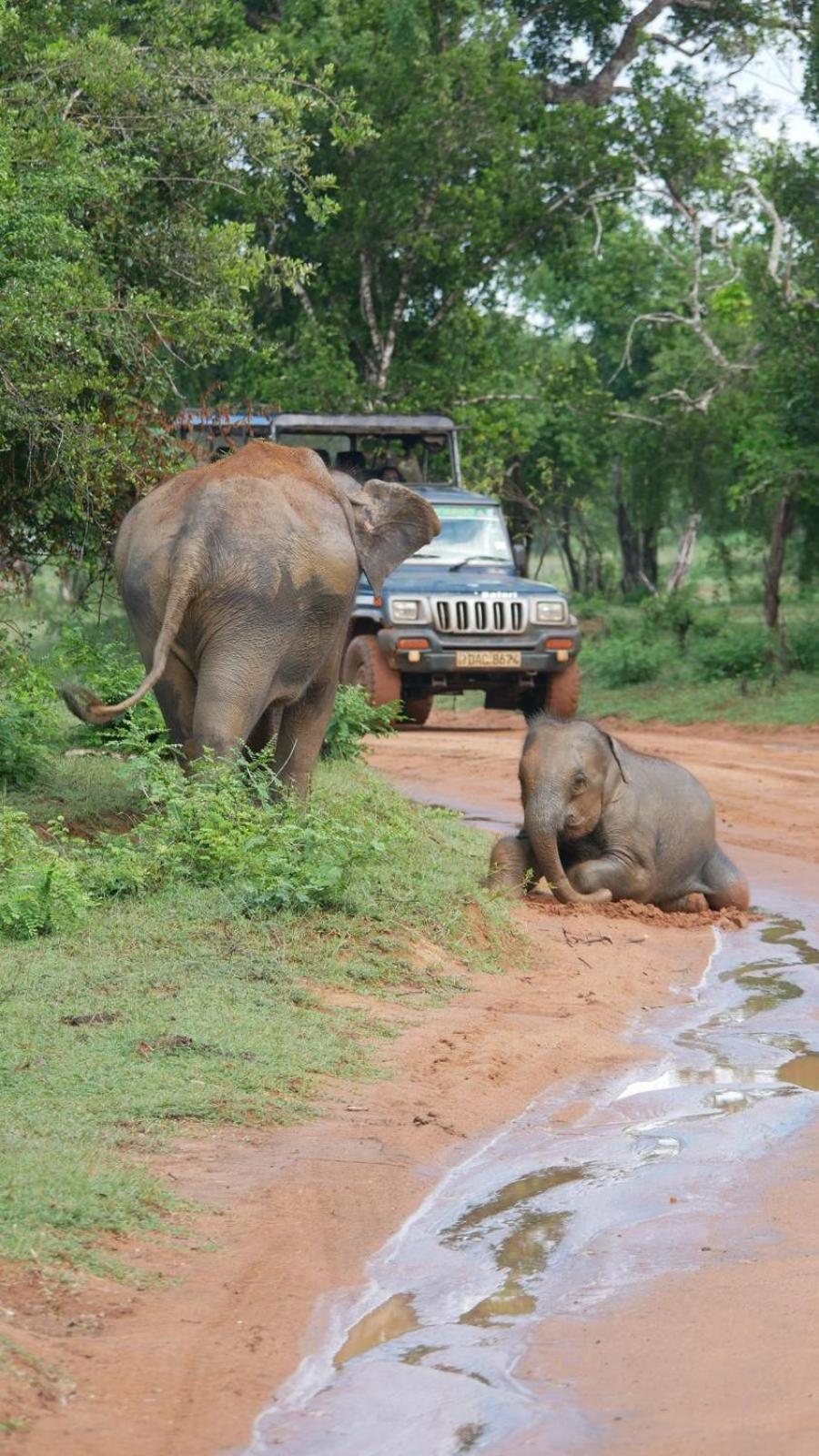 Suduweli Beauties Of Nature - Yala Kirinda  Exteriér fotografie
