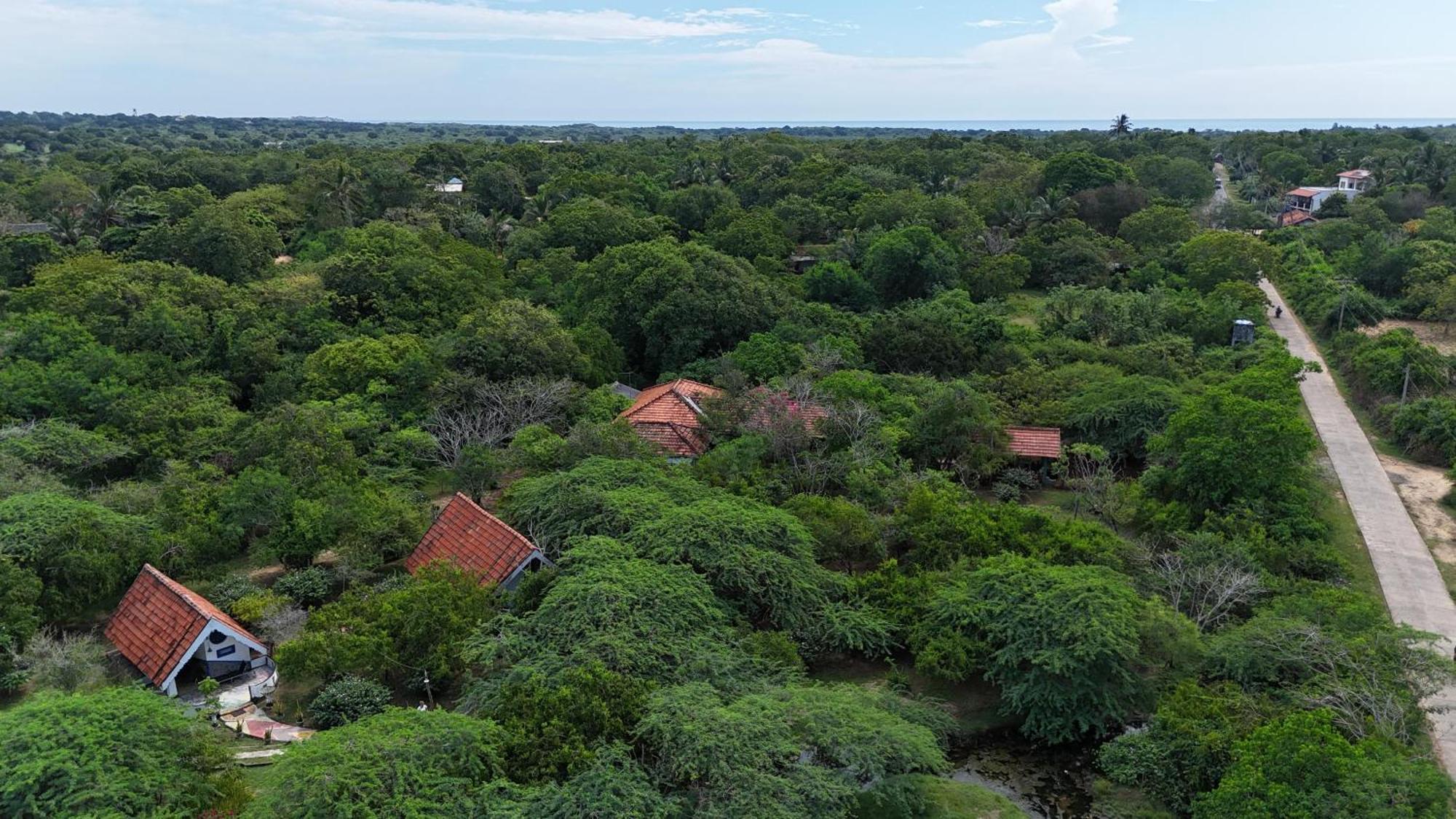 Suduweli Beauties Of Nature - Yala Kirinda  Exteriér fotografie