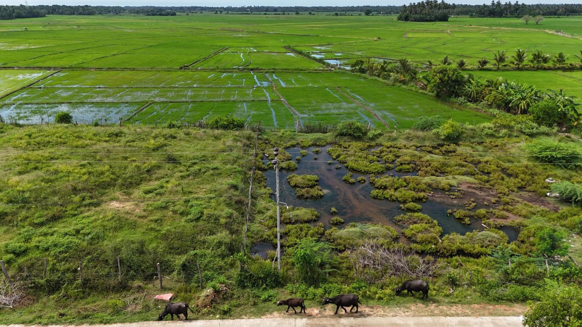 Suduweli Beauties Of Nature - Yala Kirinda  Exteriér fotografie