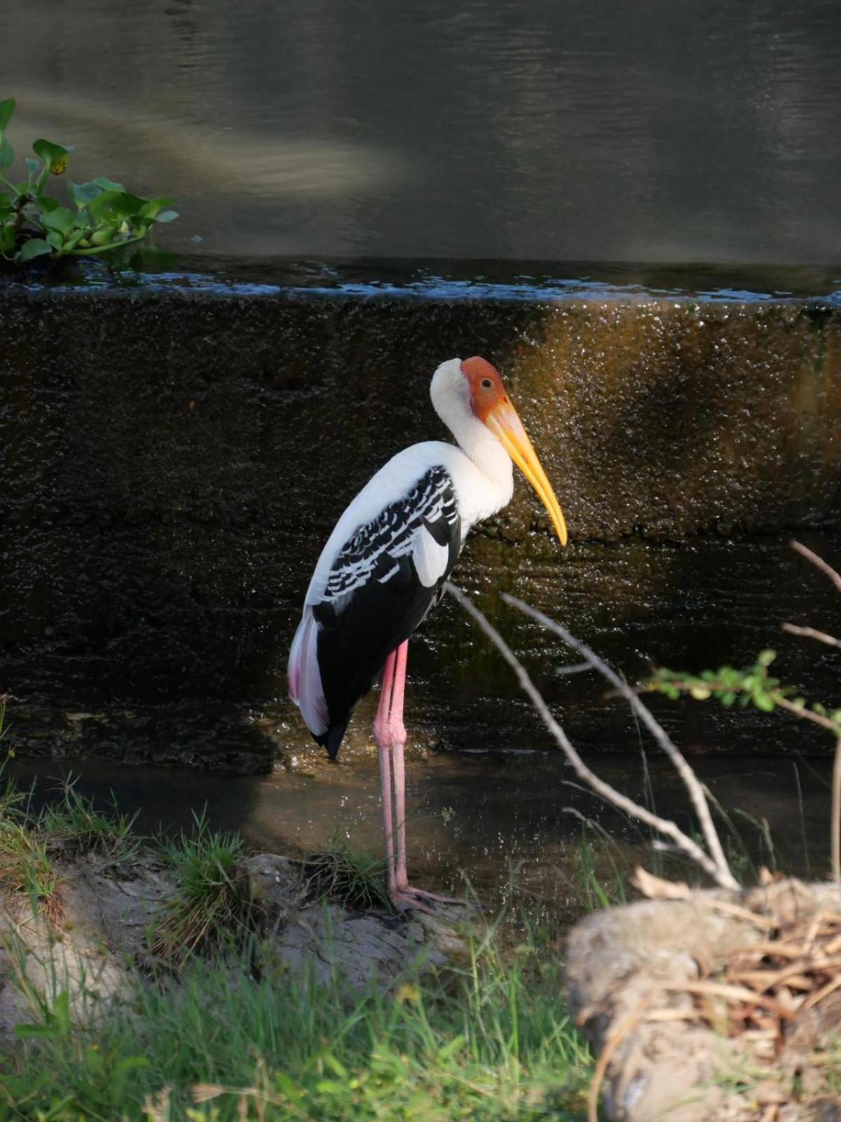 Suduweli Beauties Of Nature - Yala Kirinda  Exteriér fotografie