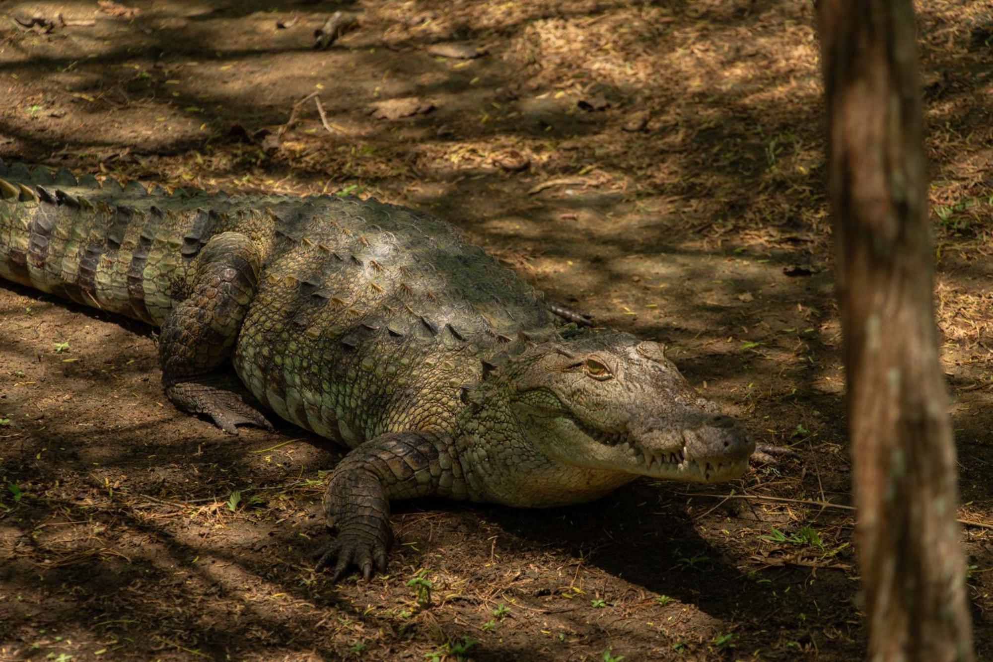 Suduweli Beauties Of Nature - Yala Kirinda  Exteriér fotografie